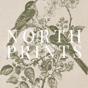 May include: An olive green illustration of two birds perched on a flowering branch, set against a beige background. The text "NORTH PRINTS" is overlaid in white. The artwork has a vintage, botanical aesthetic.