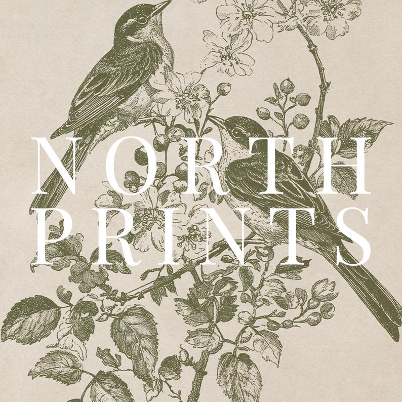 May include: An olive green illustration of two birds perched on a flowering branch, set against a beige background. The text "NORTH PRINTS" is overlaid in white. The artwork has a vintage, botanical aesthetic.