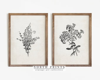 Antique Botanical Print SET | Vintage Sketch Country Flowers | Digital PRINTABLE Downloadable North Prints | S2-68