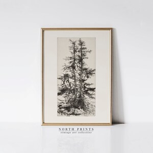 May include: Black and white line drawing of a group of trees in a vintage style frame. The frame is gold and the print is titled "NORTH PRINTS vintage art collective".