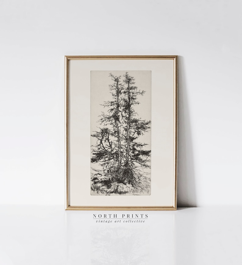May include: Black and white line drawing of a group of trees in a vintage style frame. The frame is gold and the print is titled "NORTH PRINTS vintage art collective".