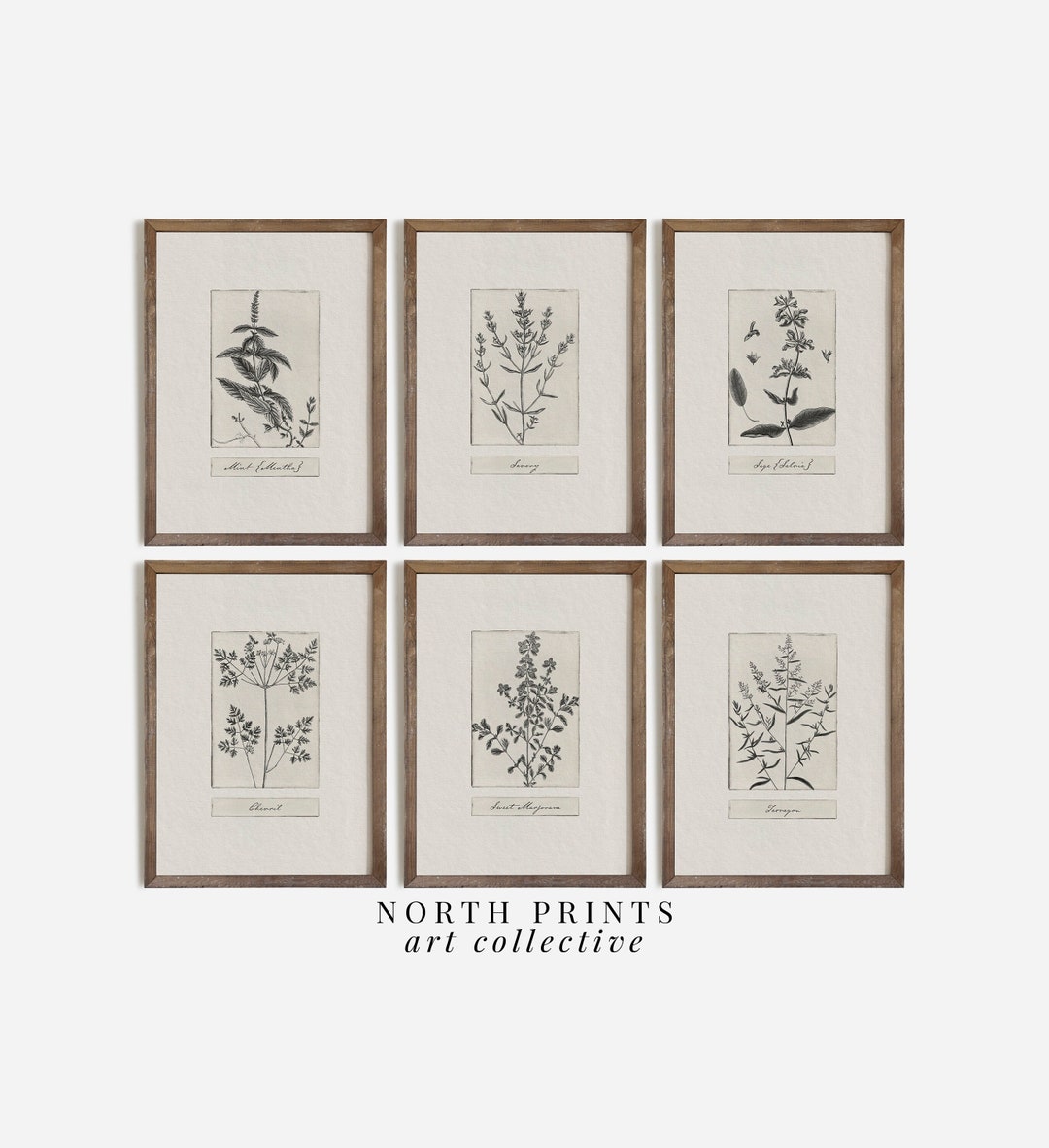 Neutral Kitchen Herb Prints Gallery Wall Art SET of Six, PRINTABLE ...