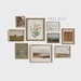 Printable Vintage Gallery Wall Art SET | Antique Prints Warm Aesthetic Decor DIGITAL | S9-3 