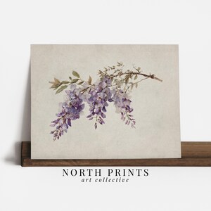May include: A watercolor print featuring a branch of wisteria flowers in shades of purple and green. The artwork is set against a neutral background. The text "NORTH PRINTS art collective" is printed at the bottom.