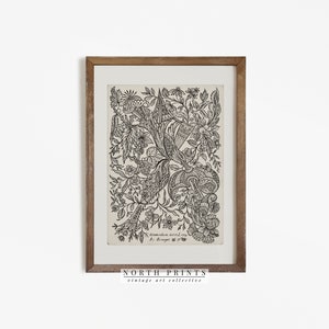 K&ouml;nnte beinhalten: Schwarz-wei&szlig;er botanischer Vintage-Druck mit einem detaillierten Blumendesign mit komplizierten Mustern. Der Druck ist in einem braunen Holzrahmen gerahmt und enth&auml;lt den Text "Ammanodon miserd 1799 A. Drevet sc."