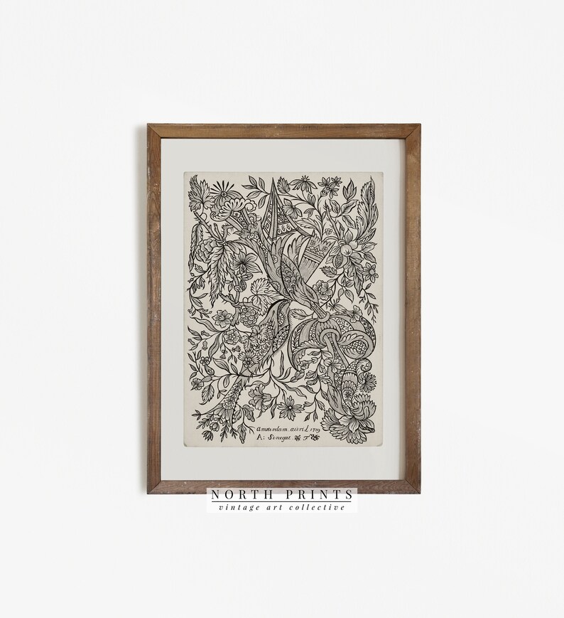 K&ouml;nnte beinhalten: Schwarz-wei&szlig;er botanischer Vintage-Druck mit einem detaillierten Blumendesign mit komplizierten Mustern. Der Druck ist in einem braunen Holzrahmen gerahmt und enth&auml;lt den Text "Ammanodon miserd 1799 A. Drevet sc."