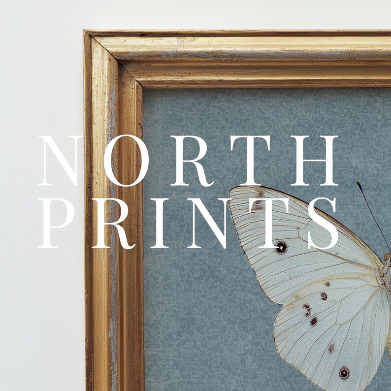 May include: A framed print of a white butterfly with black markings against a blue background. The frame is gold and the text "NORTH PRINTS" is printed below the butterfly.