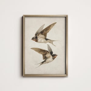 Könnte beinhalten: Gerahmter Druck mit zwei Schwalben im Flug. Die Vögel haben braune und weiße Federn mit langen, spitzen Flügeln. Das Kunstwerk ist vor einem neutralen Hintergrund in einem goldfarbenen Rahmen, was eine Vintage-Ästhetik erzeugt.
