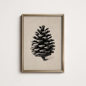 Può includere: Una stampa incorniciata con un'illustrazione dettagliata in bianco e nero di una pigna. L'opera d'arte è ambientata su uno sfondo beige neutro e racchiusa in una cornice color oro, adatta per l'arredamento della casa.