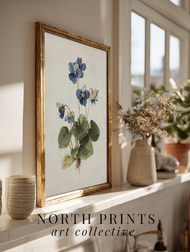 K&ouml;nnte beinhalten: Ein gerahmter botanischer Druck mit blauen und wei&szlig;en Veilchen mit gr&uuml;nen Bl&auml;ttern. Das Kunstwerk befindet sich in einem goldenen Rahmen und ruht auf einem wei&szlig;en Sims. Der Text "NORTH PRINTS art collective" befindet sich am unteren Rand des Bildes.