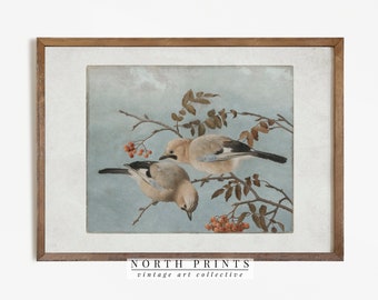 Antique Bird Art Print | Vintage Farmhouse Decor Nursery PRINTABLE | Downloadable Digital | 257