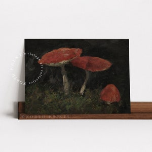 May include: A vintage art print of three red mushrooms with white stems on a dark green background.