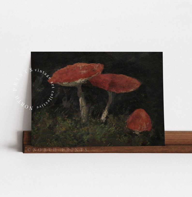 May include: A vintage art print of three red mushrooms with white stems on a dark green background.