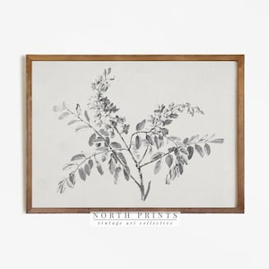 Vintage Branch Sketch, Neutral Botanical Drawing PRINTABLE Digital Antique Print, North Prints 778