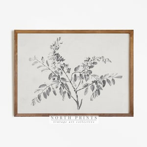 Vintage Branch Sketch | Botanical Drawing PRINTABLE Digital Antique Print | 778