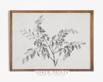Vintage Branch Sketch, Neutral Botanical Drawing PRINTABLE Digital Antique Print, North Prints 778