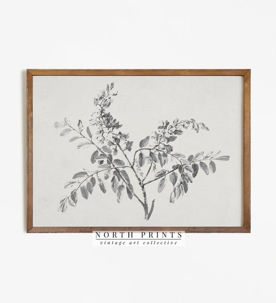 Digital DIY Print,Branch Print,Branch Drawing,Farmhouse Print,Farmhouse Wall Art,Art Print,Baby breath Print,Botanical Print,Farmhouse Art