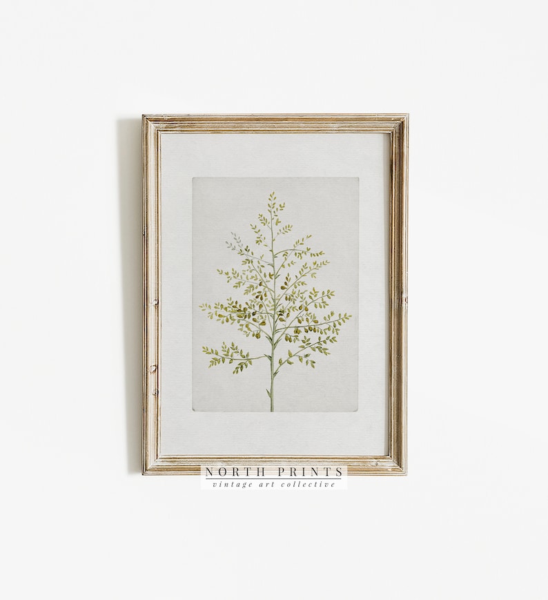 Vintage Botanical Print | French Country Decor Art PRINTABLE #573 image 4