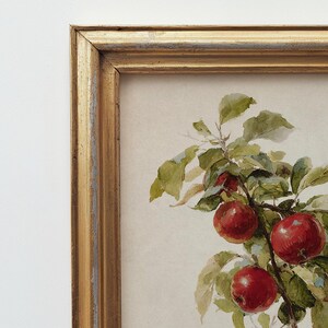 Peut inclure: Peinture &agrave; l'aquarelle d'une branche avec des pommes rouges et des feuilles vertes. L'&oelig;uvre est encadr&eacute;e dans un cadre dor&eacute; orn&eacute;. La peinture a une esth&eacute;tique vintage.