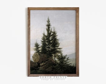 Cuadro vintage de un bosque de pinos / Impresión vintage / Arte antiguo imprimible para guardería rústica / 193