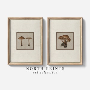 Vintage Mushroom Wall Art Print SET | Country Kitchen Farmhouse Decor | North Prints PRINTABLE DIGITAL Download S2-111