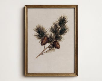 Rustic Pine Cone Wall Art, Heritage Botanical Evergreen Print, Woodland Cabin Decor, Printable Digital Art Download W2-15