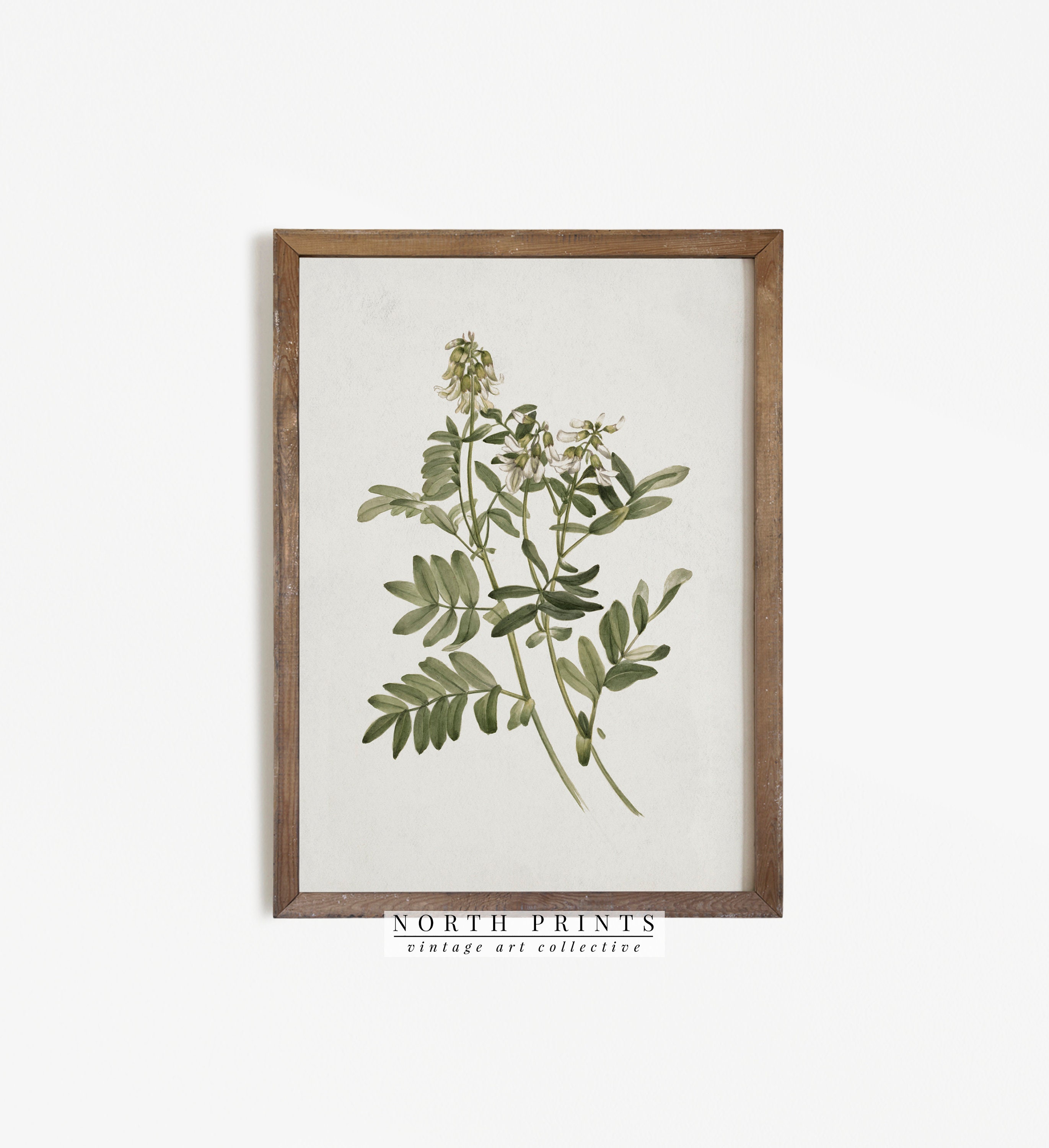 Farmhouse Vintage PRINTABLE Art Botanical Kitchen Decor Etsy