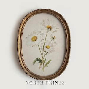 Op de afbeelding: Een ovaalvormige ingelijste prent met een aquarel van witte madeliefjes met gele centra en groene bladeren. De lijst is goudkleurig. De tekst "NORTH PRINTS" staat onderaan het frame.