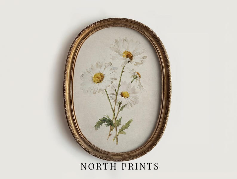 Op de afbeelding: Een ovaalvormige ingelijste prent met een aquarel van witte madeliefjes met gele centra en groene bladeren. De lijst is goudkleurig. De tekst "NORTH PRINTS" staat onderaan het frame.