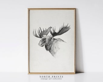 May include: A framed black and white pencil drawing of a moose. The artwork features a detailed depiction of the moose's head and antlers. The frame is gold. The text "NORTH PRINTS vintage art collective" is at the bottom.