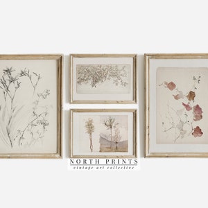 May include: Set of four framed botanical prints with vintage illustrations of flowers and leaves in black and white and watercolor washes of pink and brown. The frames are a light wood color.