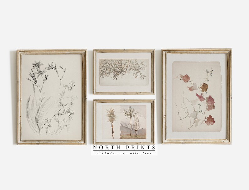 May include: Set of four framed botanical prints with vintage illustrations of flowers and leaves in black and white and watercolor washes of pink and brown. The frames are a light wood color.