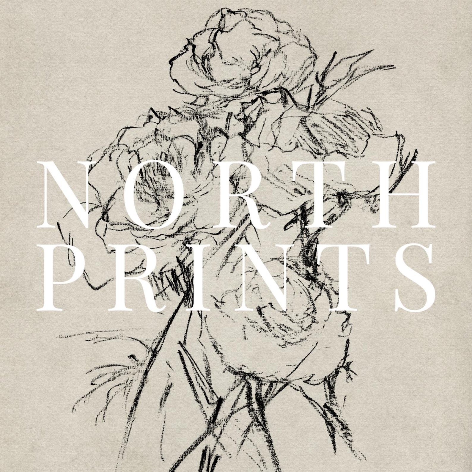 Neutral Roses Printable Neutral Roses Sketch Art Print: Rustic French Country Decor (digital ...