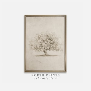 Op de afbeelding: Een ingelijste print van een potloodtekening van een boom op een lichtbruine achtergrond. De print is in een gouden lijst en heeft de tekst "NORTH PRINTS art collective" onderaan.