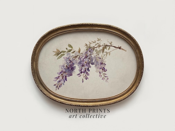 Vintage Wisteria Botanical Art, French Country Floral Wall Decor (Digital Art PRINTABLE Download) 11-110
