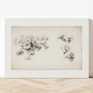 May include: A black and white drawing of two different types of flowers. The flowers are drawn in a realistic style and are set against a light beige background.