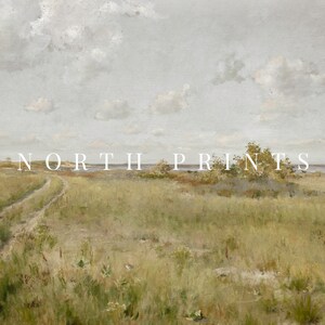 May include: A painting of a grassy field with a dirt road leading to a body of water. The sky is cloudy and gray. The text "NORTH PRINTS" is printed in white across the middle of the image.