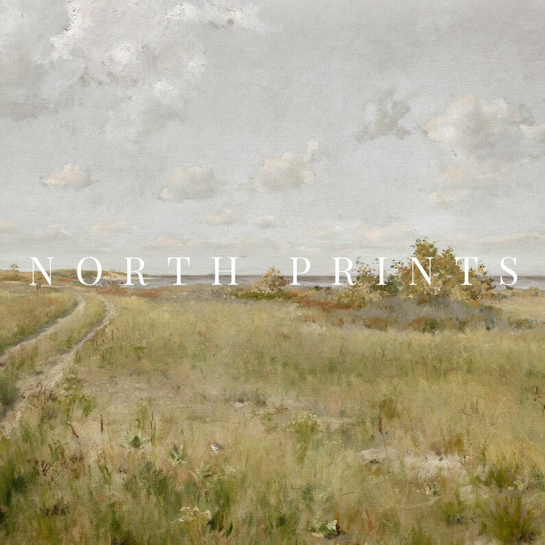 May include: A painting of a grassy field with a dirt road leading to a body of water. The sky is cloudy and gray. The text "NORTH PRINTS" is printed in white across the middle of the image.