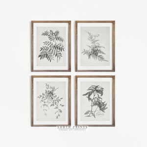 Botanical Print SET | Vintage Farmhouse Decor | Sketch Art | North Pints | DIGITAL PRINTABLE #S72