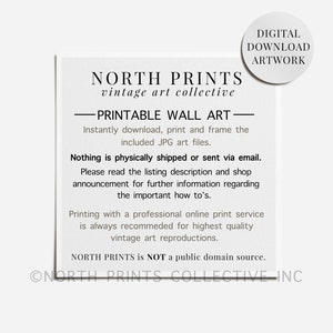Spring Gallery Wall Set Vintage Muted Green Neutral Tone Prints Bedroom Art Digital PRINTABLE S5-10 image 3