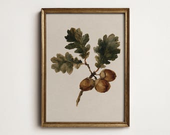 Oak Leaf and Acorn Wall Art, Vintage Autumn Botanical Print, Woodland Nature Decor, Printable Digital Art Download A2-15