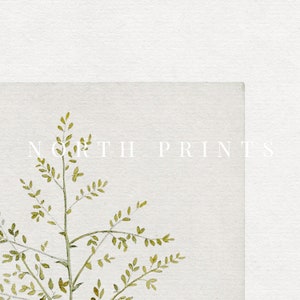 Vintage Botanical Print | French Country Decor Art PRINTABLE #573 image 2