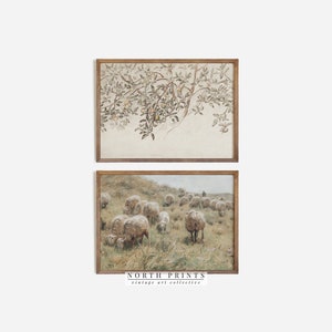 May include: A set of two framed vintage art prints. The top print features a watercolor painting of a branch of an apple tree with green leaves and red apples. The bottom print features a watercolor painting of a flock of sheep grazing in a field.