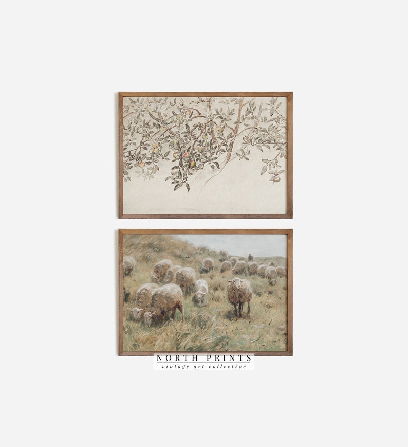 May include: A set of two framed vintage art prints. The top print features a watercolor painting of a branch of an apple tree with green leaves and red apples. The bottom print features a watercolor painting of a flock of sheep grazing in a field.