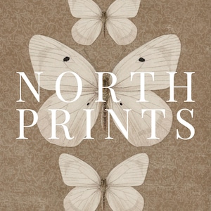 May include: A brown background with three white butterflies and the text "NORTH PRINTS" in white.