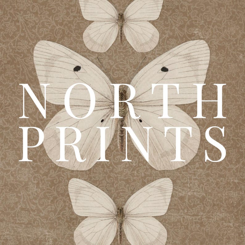 May include: A brown background with three white butterflies and the text "NORTH PRINTS" in white.