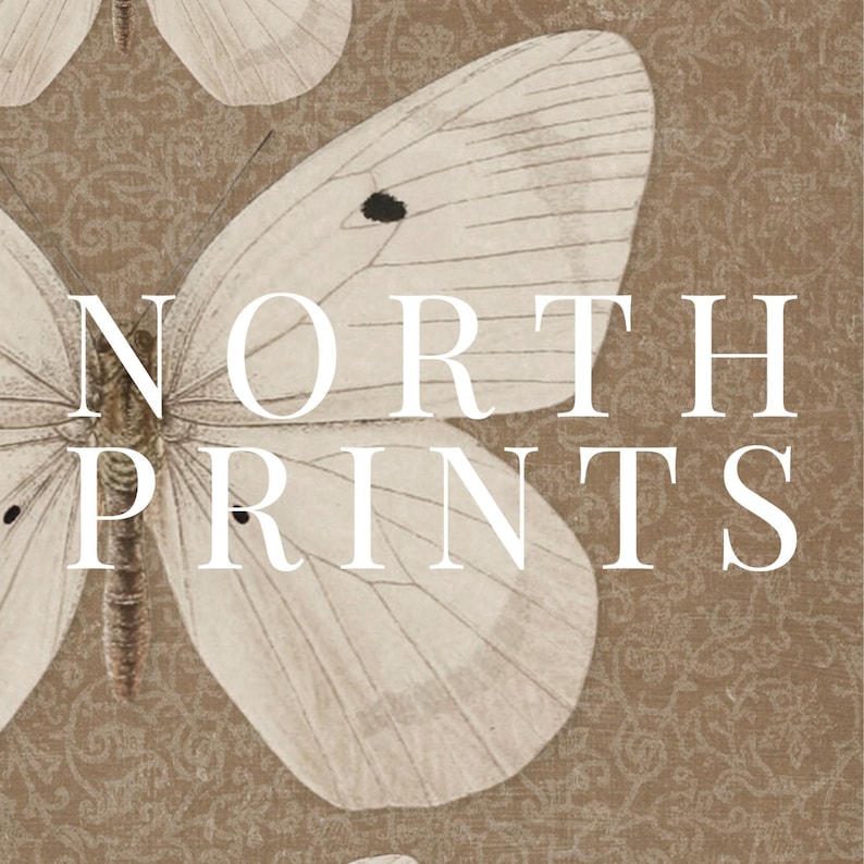 May include: A vintage-style illustration of two white butterflies with black markings on a brown background. The text "NORTH PRINTS" is printed in white on the image.