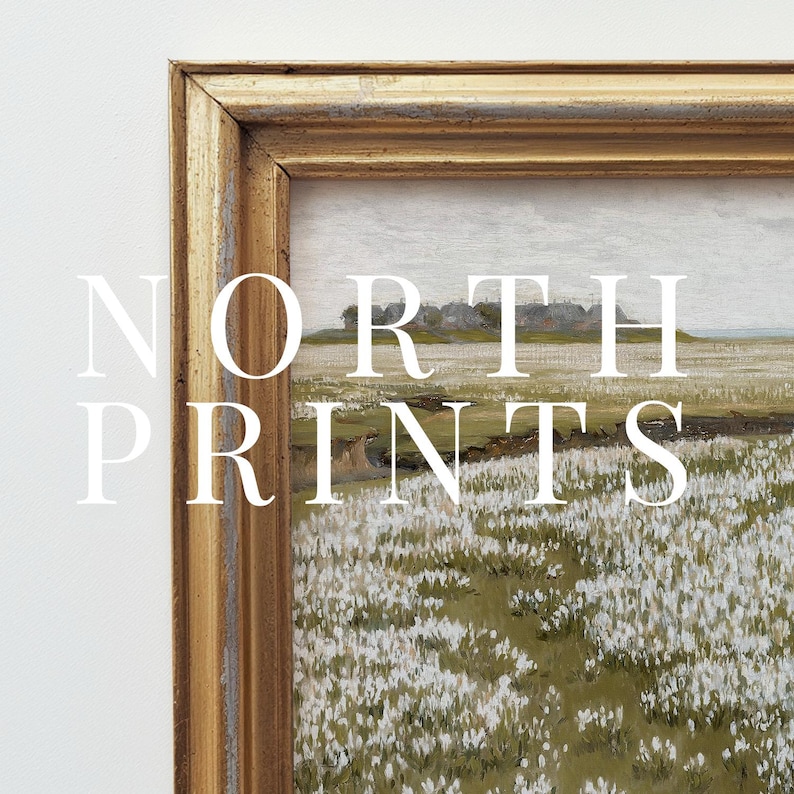 May include: A framed painting of a landscape with a field of white flowers in the foreground. The painting is in a gold frame and the text "NORTH PRINTS" is superimposed on the image.