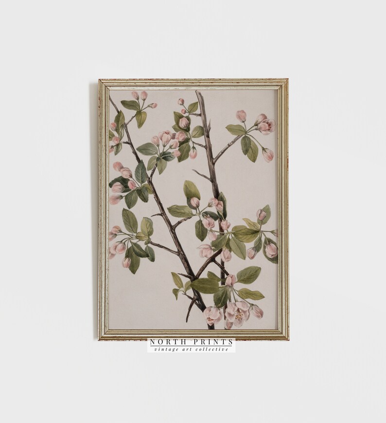 Blossom Branch Digital PRINTABLE #615 Vintage Farmhouse Botanical Print