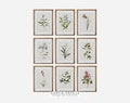Vintage Botanical Gallery Wall SET | French Country Farmhouse PRINTABLE | North Prints | S9-1